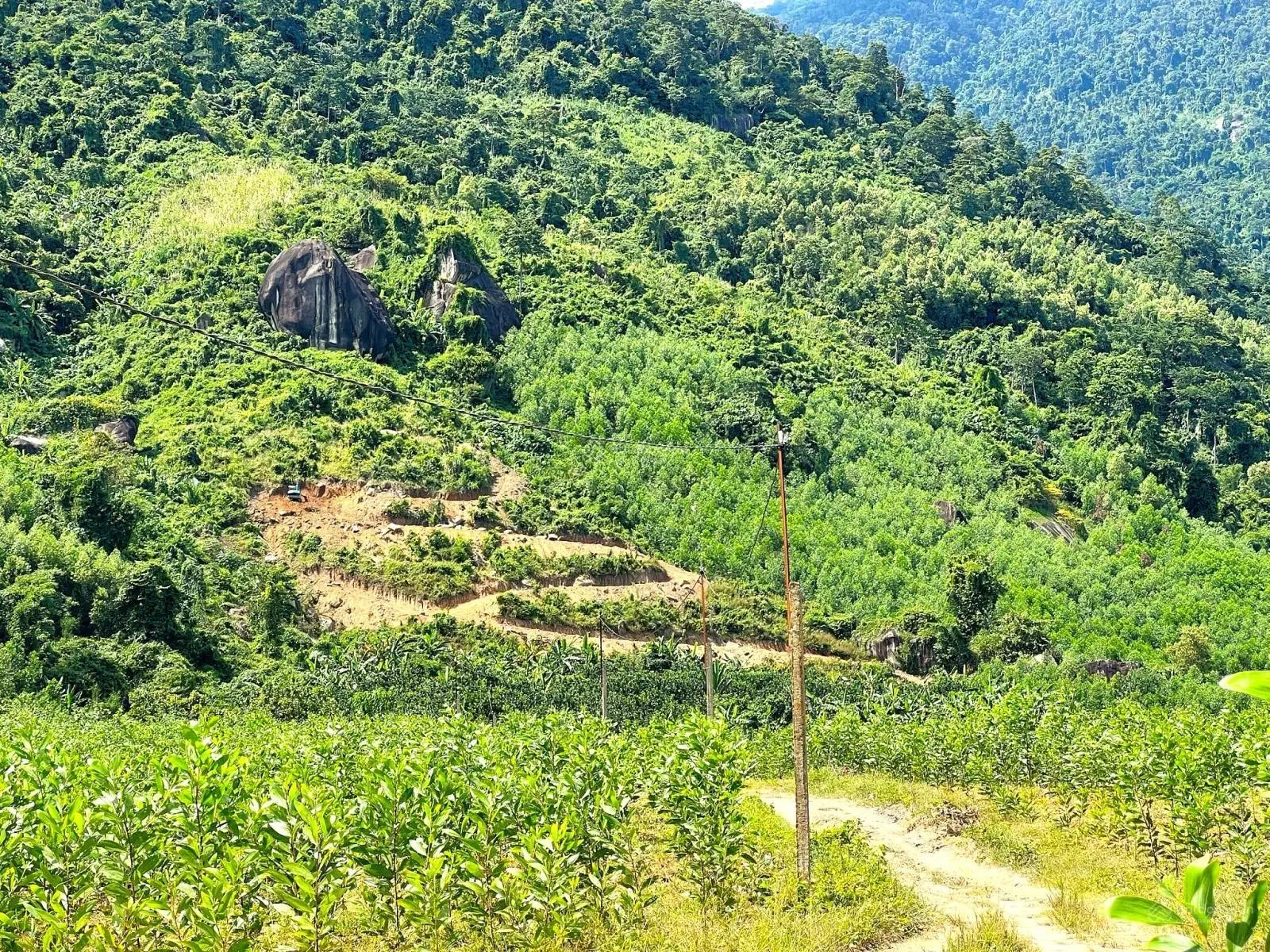 Đây là lô đất 1,5 hecta, cách khu dân cư đông đúc chỉ 300m tại xã Khánh Trung Khánh Vĩnh, Khánh Hoà