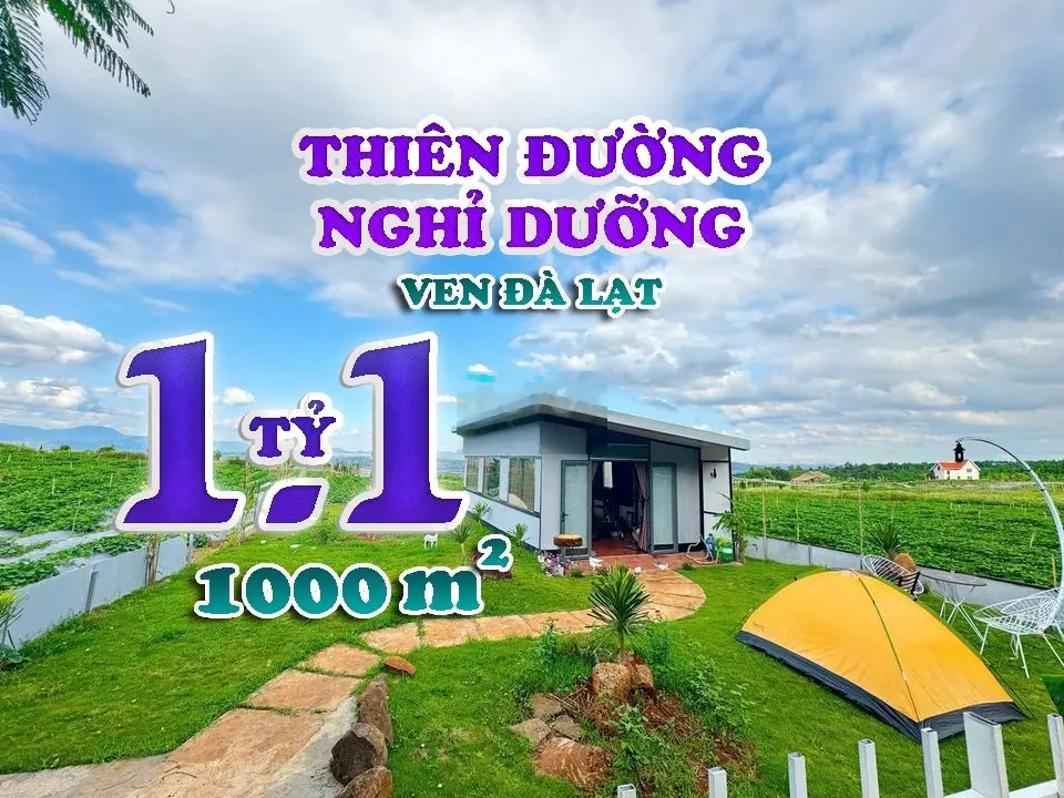 ĐẤT NỀN NGHỈ DƯỠNG VEN ĐÀ LẠT-VIEW TRIỆU ĐÔ-LÊN ĐÀ LẠT 30ph