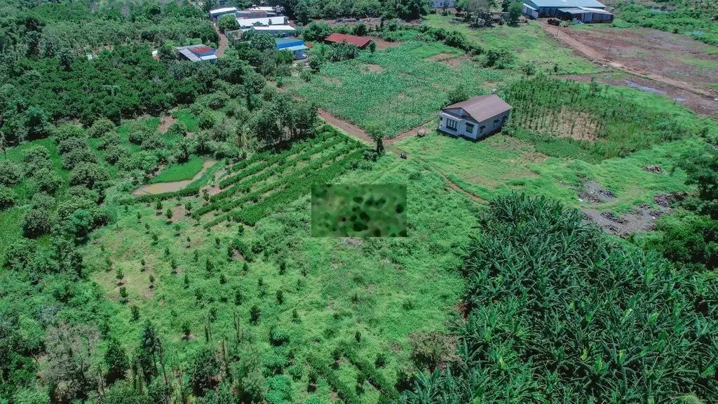 BÁN ĐẤT TẠI XÃ BÀU TRÂM - LONG KHÁNH - ĐỒNG NAI