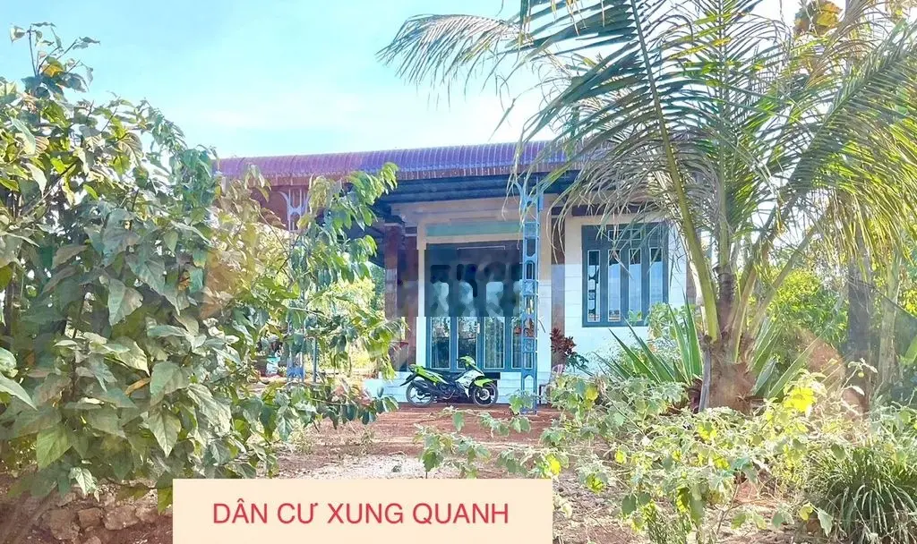 Bán Đất 1.000m2 CẬN HỒNG CƯMGAR Giá 129 Triệu