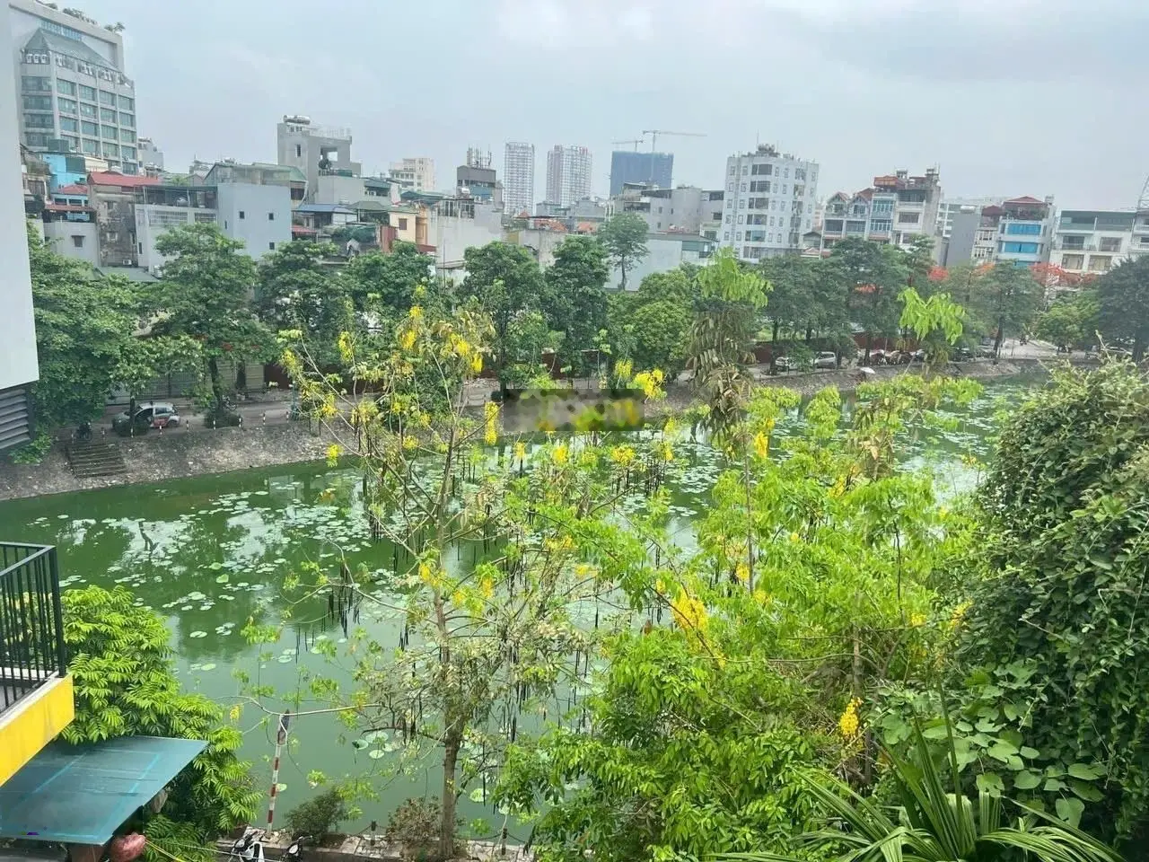 View mặt hồ, diện tích rộng, nội thất đẹp, giá hợp lý