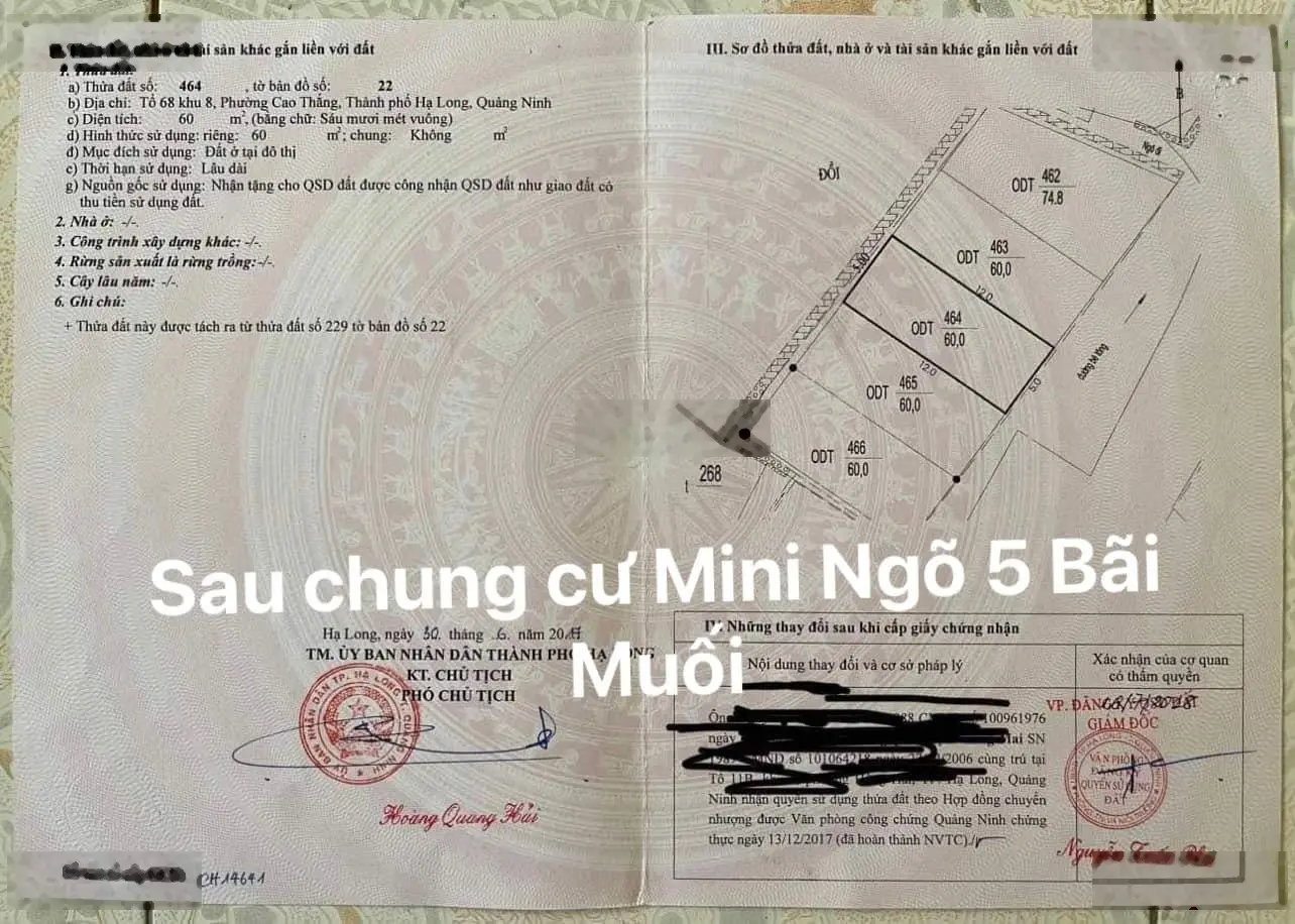 Đất dân ngay sau chung cư mini ngõ 5 Bãi Muối, Cao Thắng