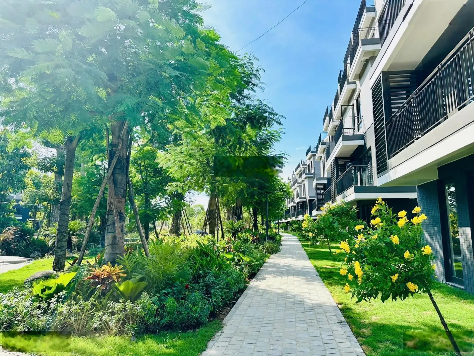 Sở hữu biệt thự song lập nhận nhà ở ngay vào trước hơn 3 tỷ tại Eco Central Park Vinh từ CDT