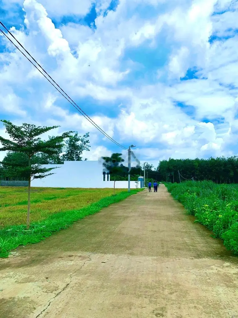 CHIA TÀI SẢN CẦN SANG NHANH