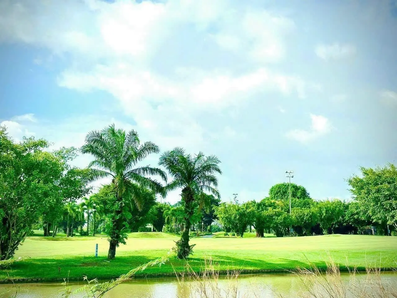 Chuyên bán đất nền sổ đỏ sân golf Long Thành Biên Hòa New City giá tốt nhất chỉ 1,5tỷ LH 0919 860 ***