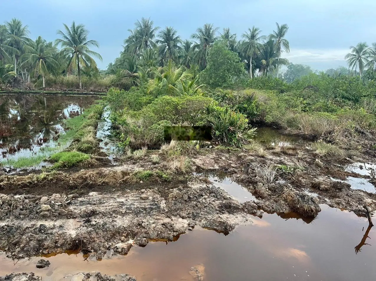 Bán đất Ấp Vĩnh Hội, Xã Vĩnh Hoà Phú, Huyện Châu Thành. Tp Rạch Giá - T. KG LH: 0942 646 *** Sương