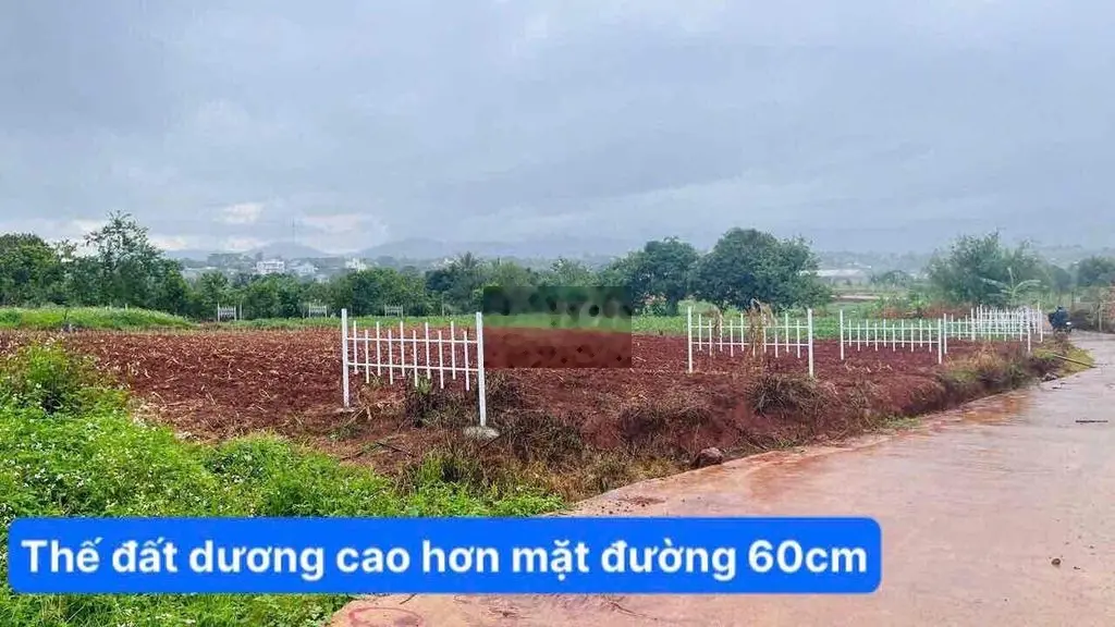 Bán đất xã Đông Thanh, Lâm Hà chỉ 795tr/327 m2 thổ cư đường 5m xe hơi