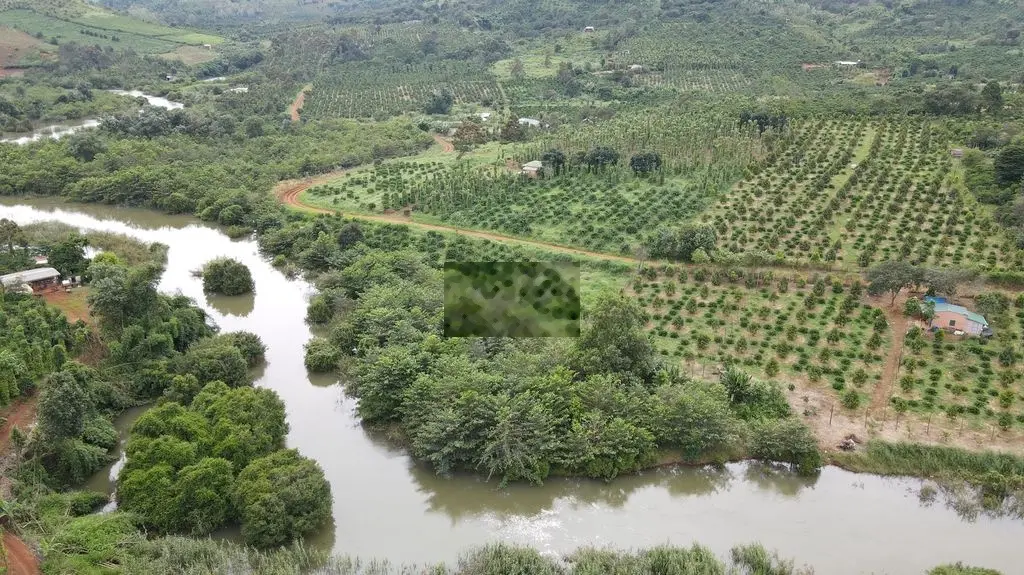 Trường xuân- 1.4ha tt 1.7ha 2.05 tỷ