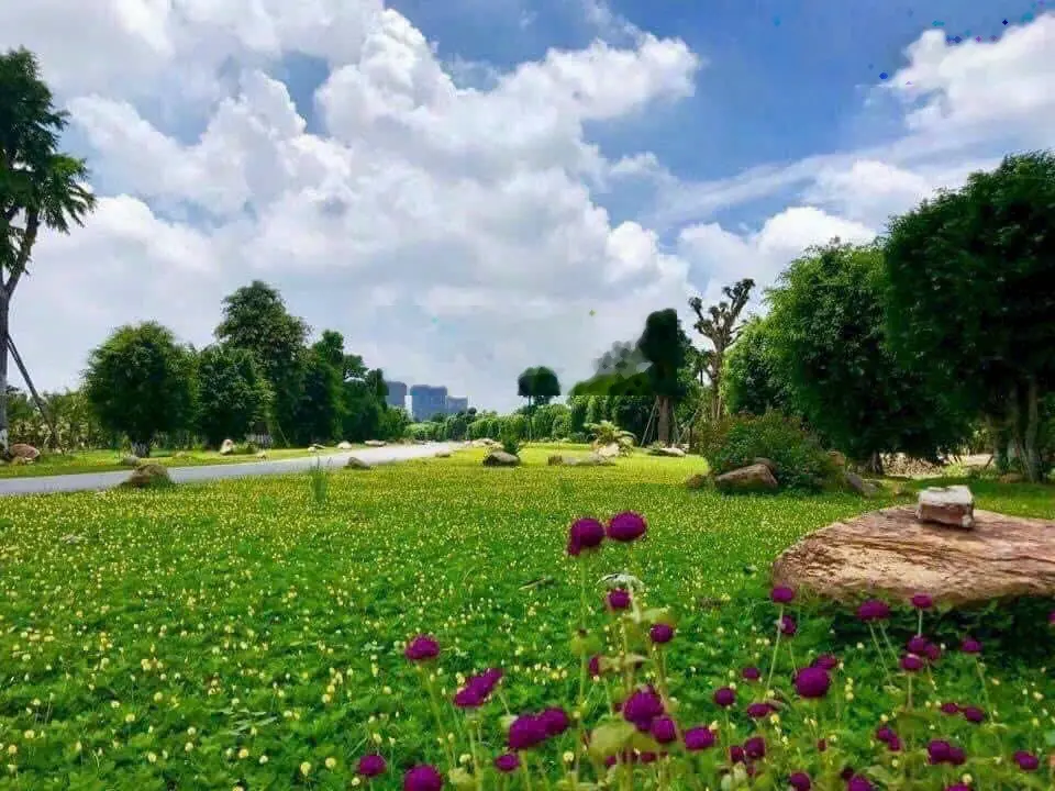 Căn góc nhà phố Spring Valley Ecopark Thung Lũng mùa xuân Ecopark 3 mặt tiền 180m2 Giá nhỉnh 20 tỷ