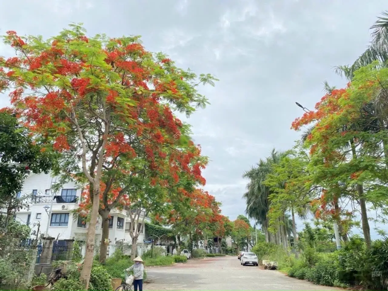 Tổng hợp các biệt thự đang bán tại Quang Minh Mê Linh.