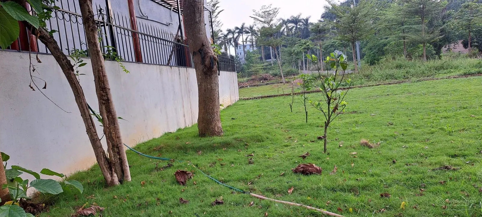 Chính chủ tôi bán lô đất 74,2m khu biệt thự đồng trúc sát đại lộ thăng long khu công nghệ cao 1,2 .