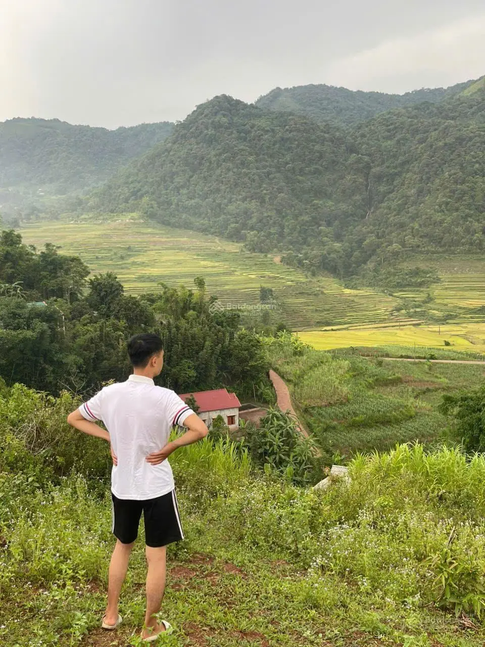 Lô đất có diện tích ~ 2000m2 sẵn 200m2 thổ cư tại Cao Phong, Hòa Bình