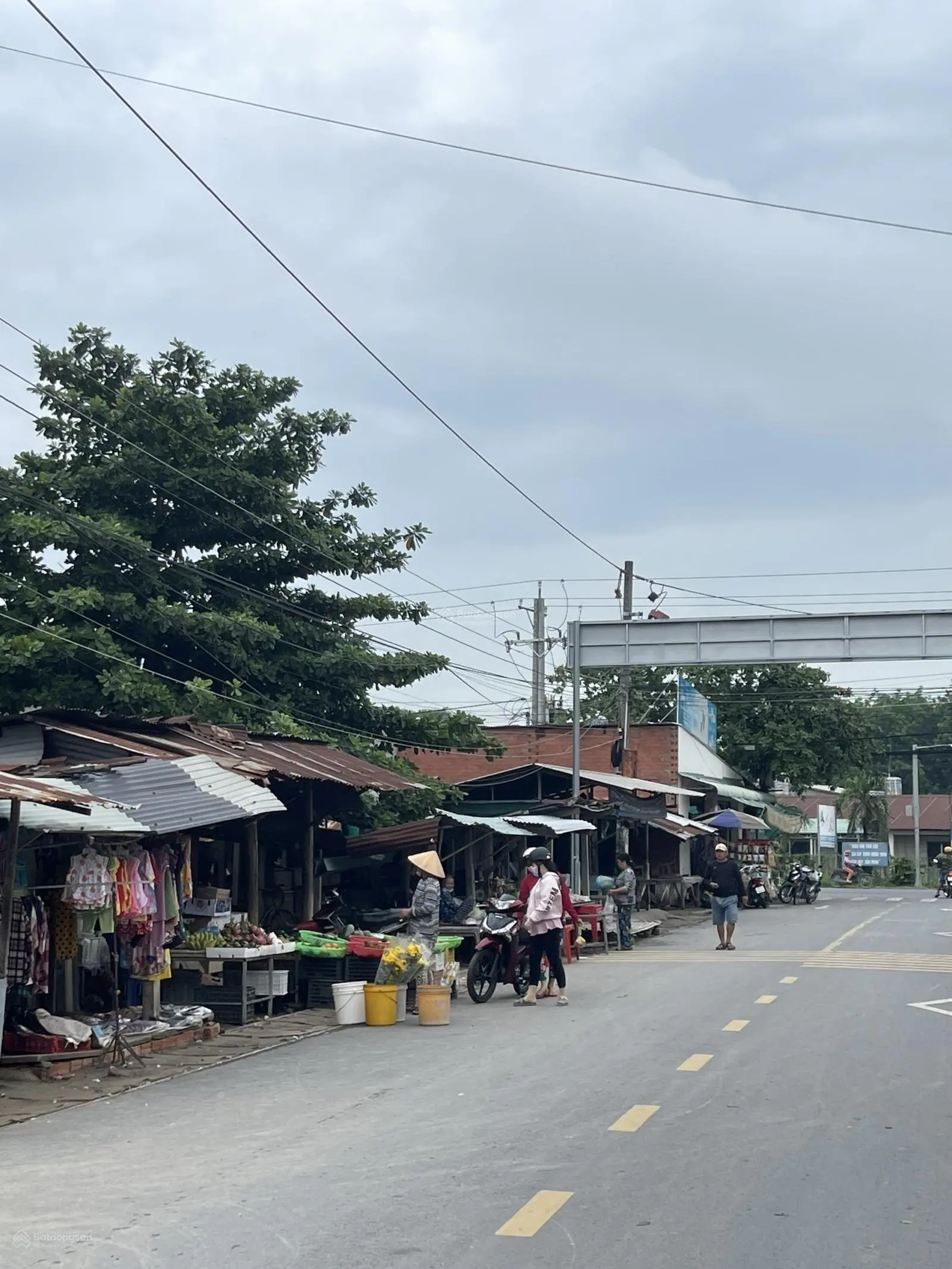 Bán đất thổ cư chỉ 430 triệu tại Gò Dầu, Tây Ninh, cách Sài Gòn 45km