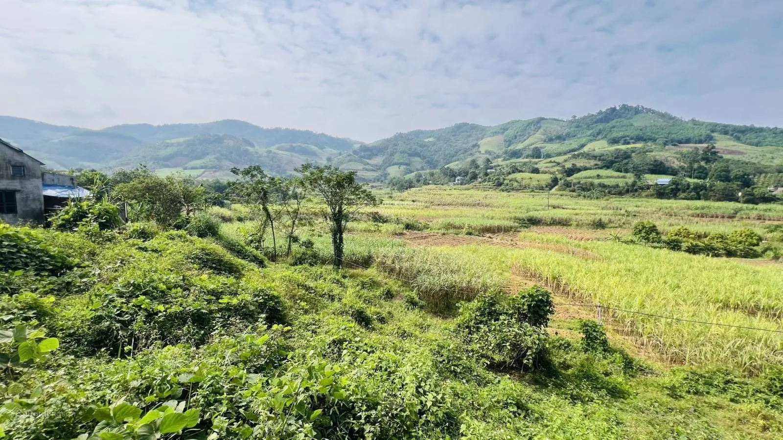 Chính chủ cần bán đất view đẹp tại Cao Phong - Hoà Bình