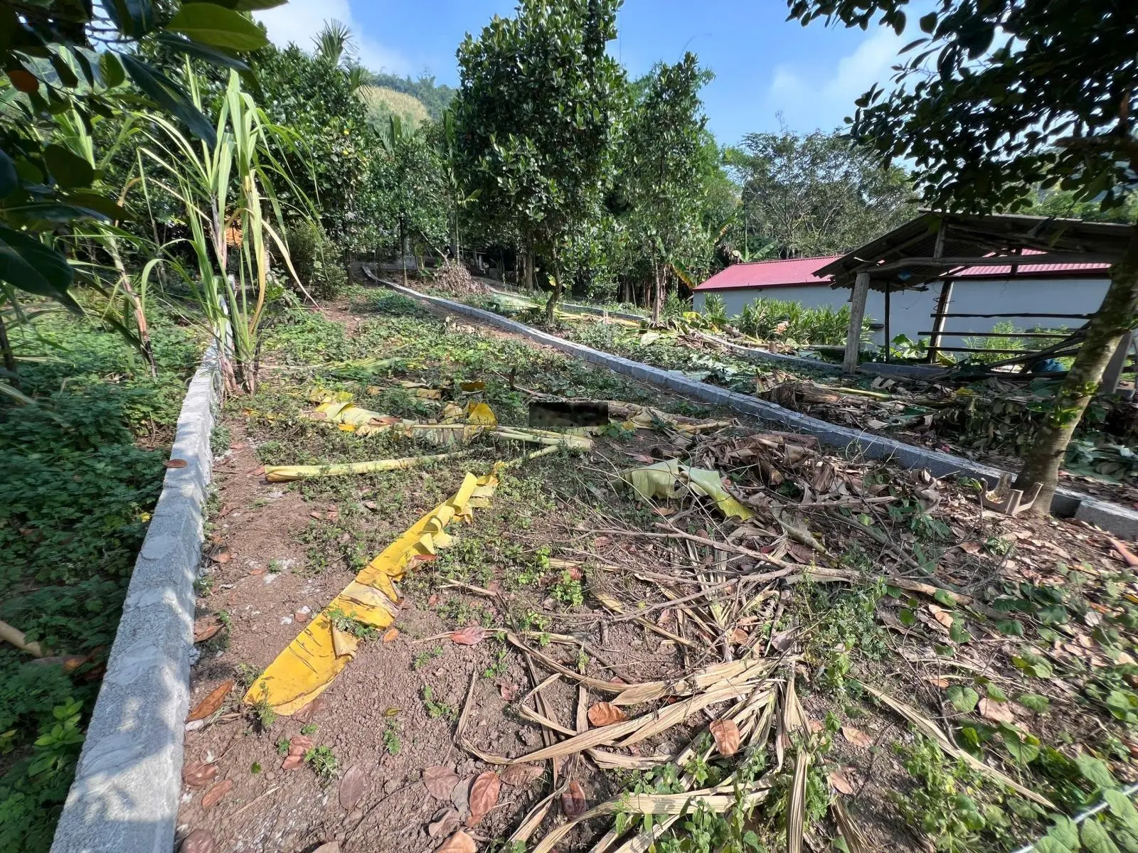 Còn duy nhất 1 lô chỉ 395tr ngay chợ nội Tân Thành, Cao Dương, Hòa Bình