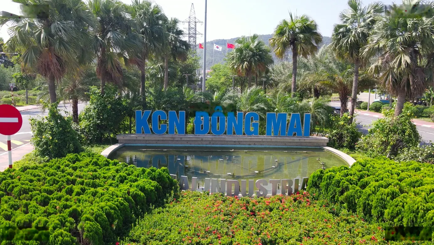 Bán đất Mai Hoà - cạnh Khu công nghiệp Đông Mai giá chỉ 499 triệu