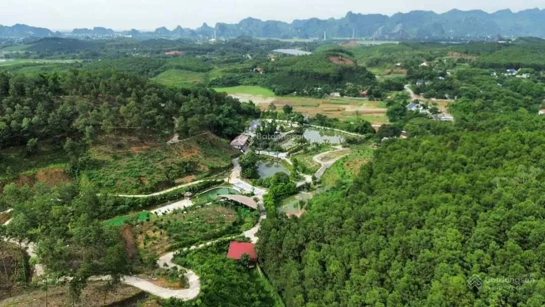 Cần chuyển nhượng 7,6 ha đất nghỉ dưỡng tại thị trấn Ba Đồi, Lạc Thủy, Hòa Bình