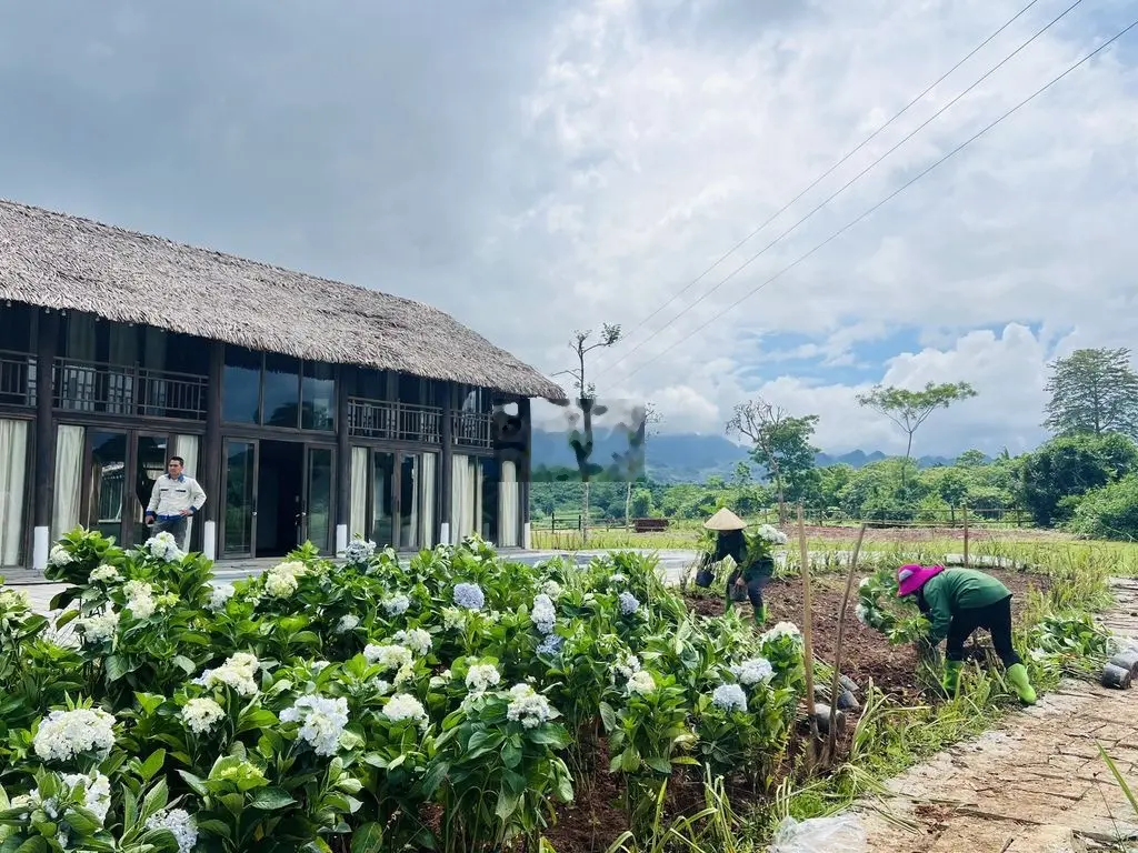 Bán nhà vườn tiện nghi 2285M tại Hợp Phong Cao Phong HB chỉ 2,3 tỷ