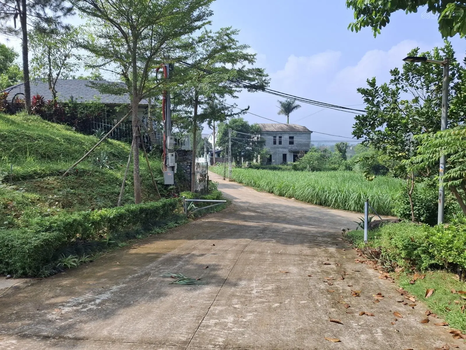 Bán Biệt thự nghỉ dưỡng Yên Bài Ba Vì 400m2 , 4 ngủ, khách, bếp , sẵn khai thác homestay