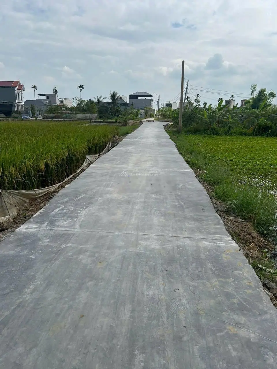 Bán lô đất 94m2 tại Hoa Động, Thuỷ Nguyên, Hải Phòng