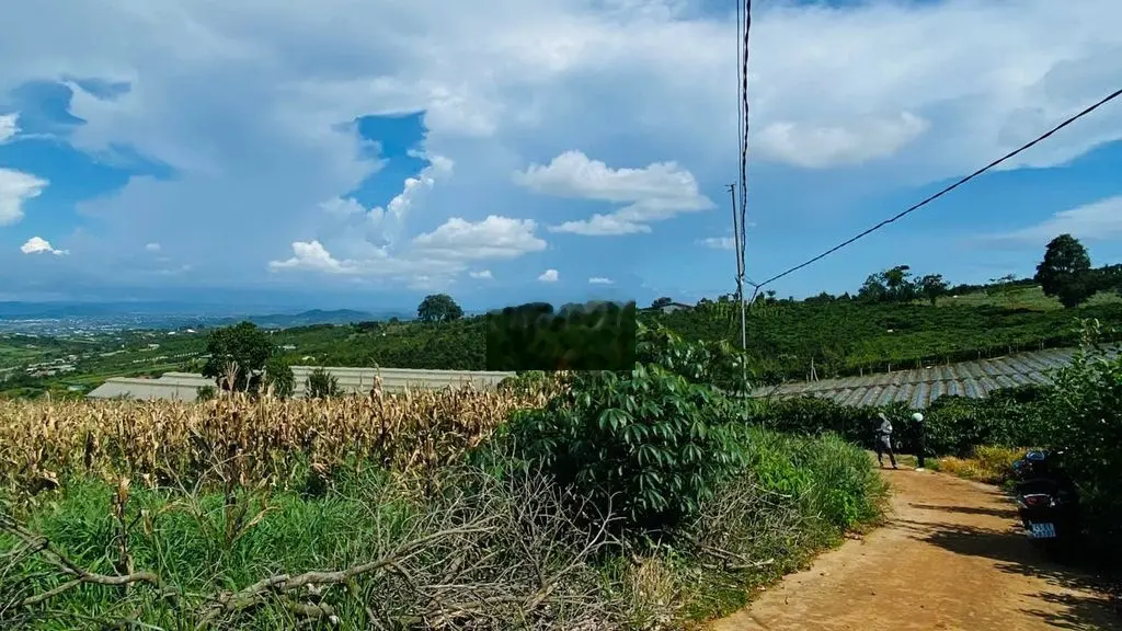 Bán đất cách chợ tân hà- lâm đồng 2.5 km giá chỉ 650 triệu