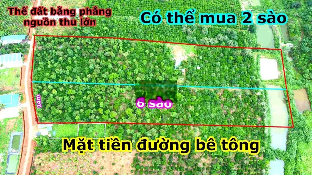 Nghĩ dưỡng cho các cụ giá tại thành phố Gia Nghĩa - Đồng quê bình yên