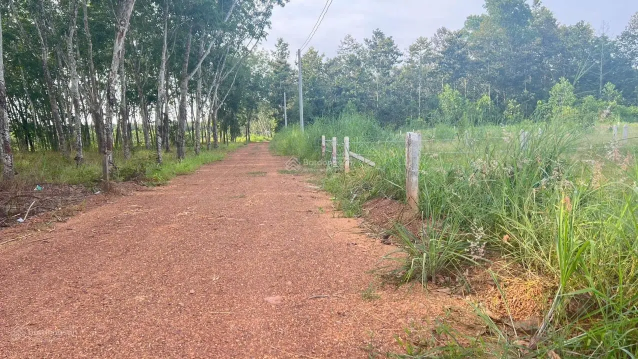 Bán gấp trong tuần mới có giá này , giá công chưng luôn