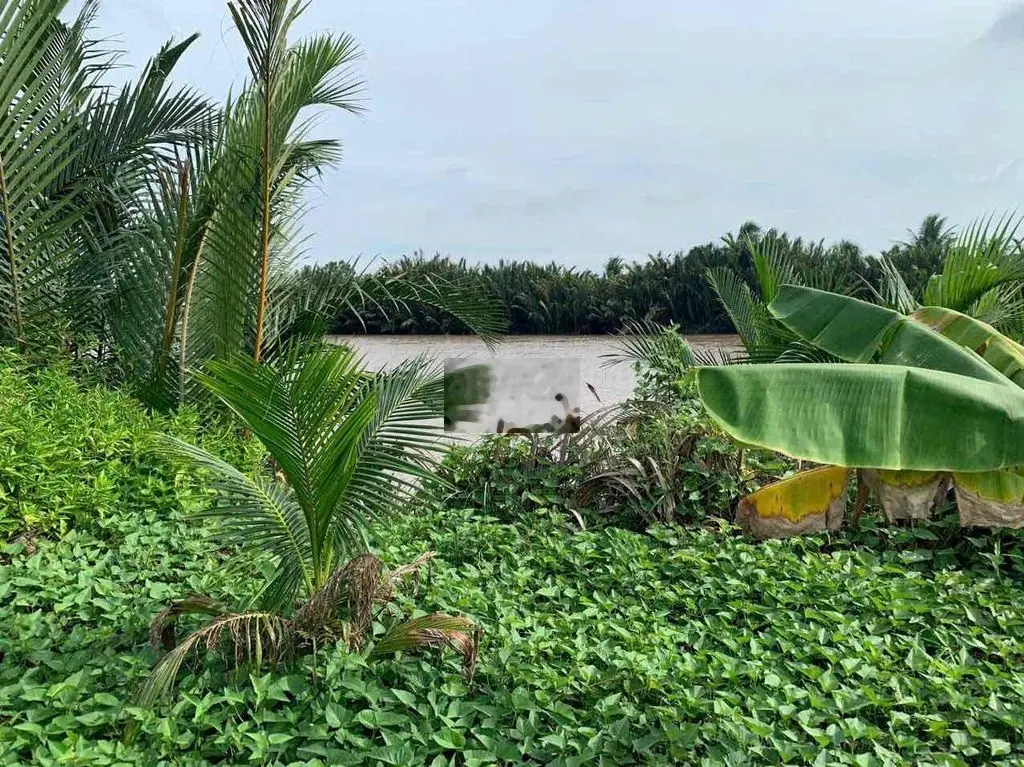 BÁN ĐẤT 5.500M2 VIEW SÔNG BA LAI, XÃ PHƯỚC THẠNH