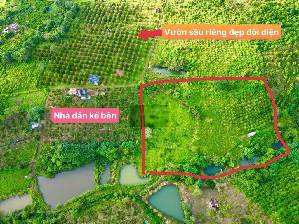 Hot hơn 1ha1 (11.500 m2) chỉ 389tr tại Tam Giang, Krong Năng, Daklak