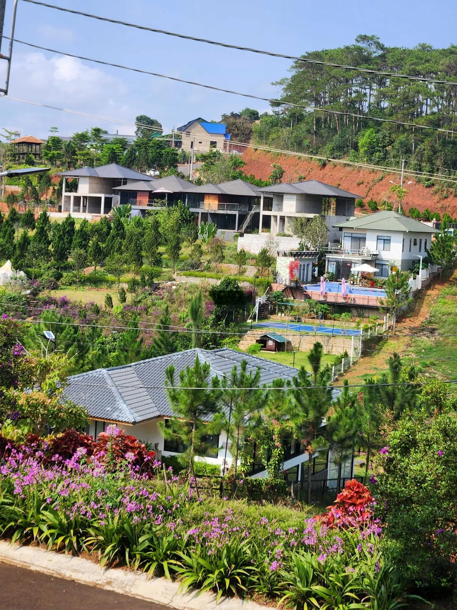 Bán lô đất villa 2 mặt tiền đường, view rừng thông Bảo Lộc, Lâm Đồng. Gần đồi chè Tâm Châu