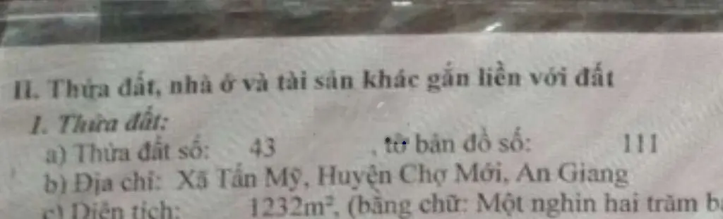 Bán Đất Tấn Mỹ Chợ Mới An Giang