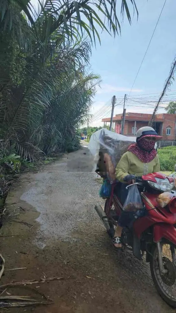 cần bán đất chính chủ .. huyện châu thành .. long an .