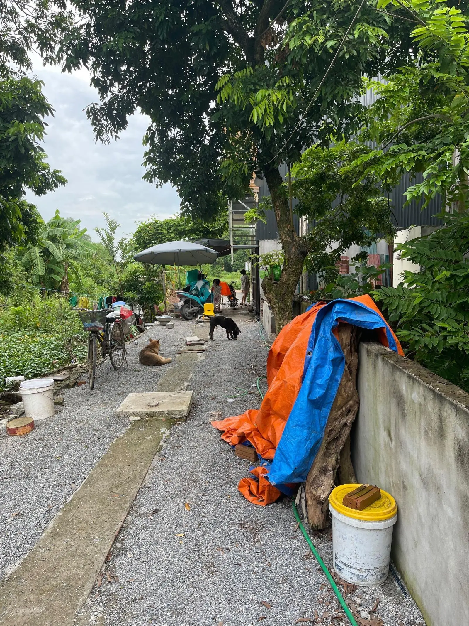 Văn phòng BĐS Đất Quý Land chào bán 2 lô đất làng nghề Dư Dụ, Thanh Thùy, Thanh Oai