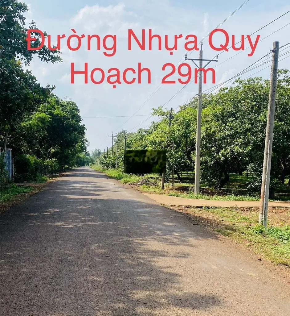 Bán đất 185 triệu, diện tích 500m2 tại Đường tỉnh 741, Xã Thuận Lợi, Huyện Đồng Phú, Bình Phước