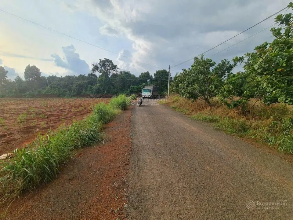 Thanh lý 468m2 thổ cư ngang 45m, view hồ sinh thái, shr, cc ngay 429tr giảm còn #400tr