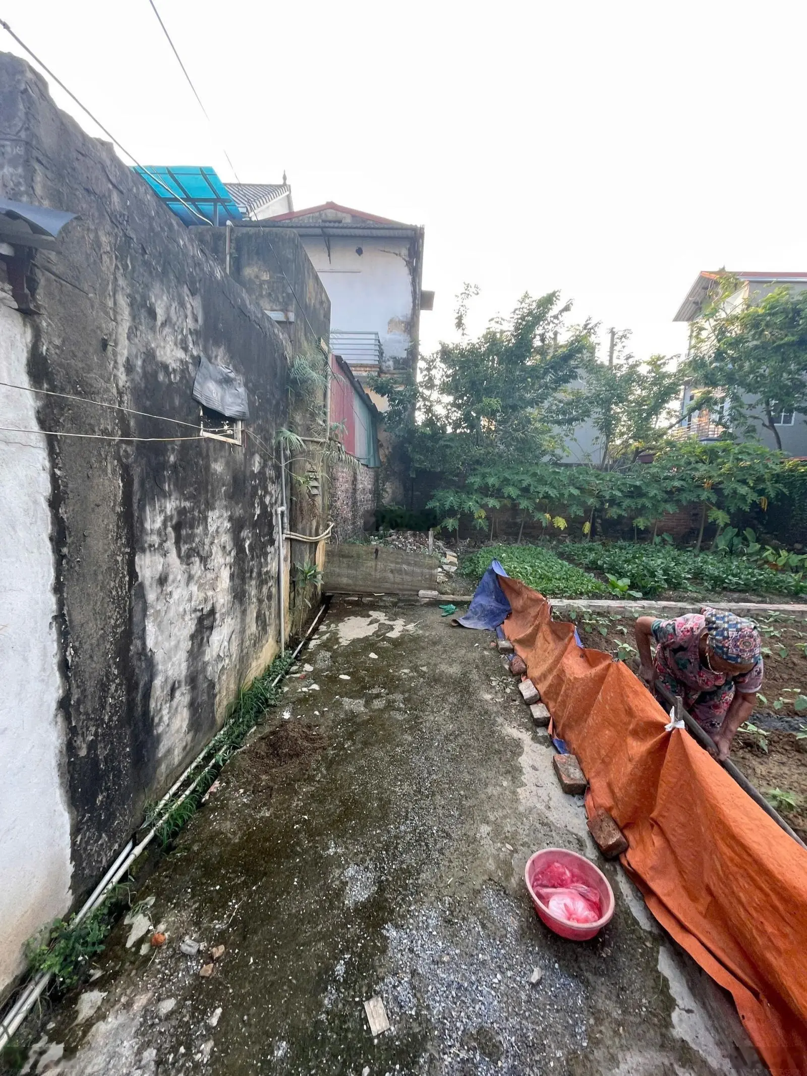 Boy Phố tại Xã Thanh Cao, Thanh Oai, Hà Nội