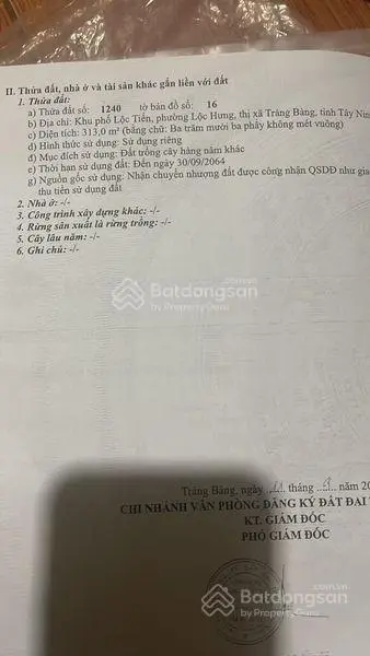 Bán đất dưỡng tuổi già lô đất nền thổ cư giá rẻ nhất thị trường ngang 8m dài 39m siêu hời