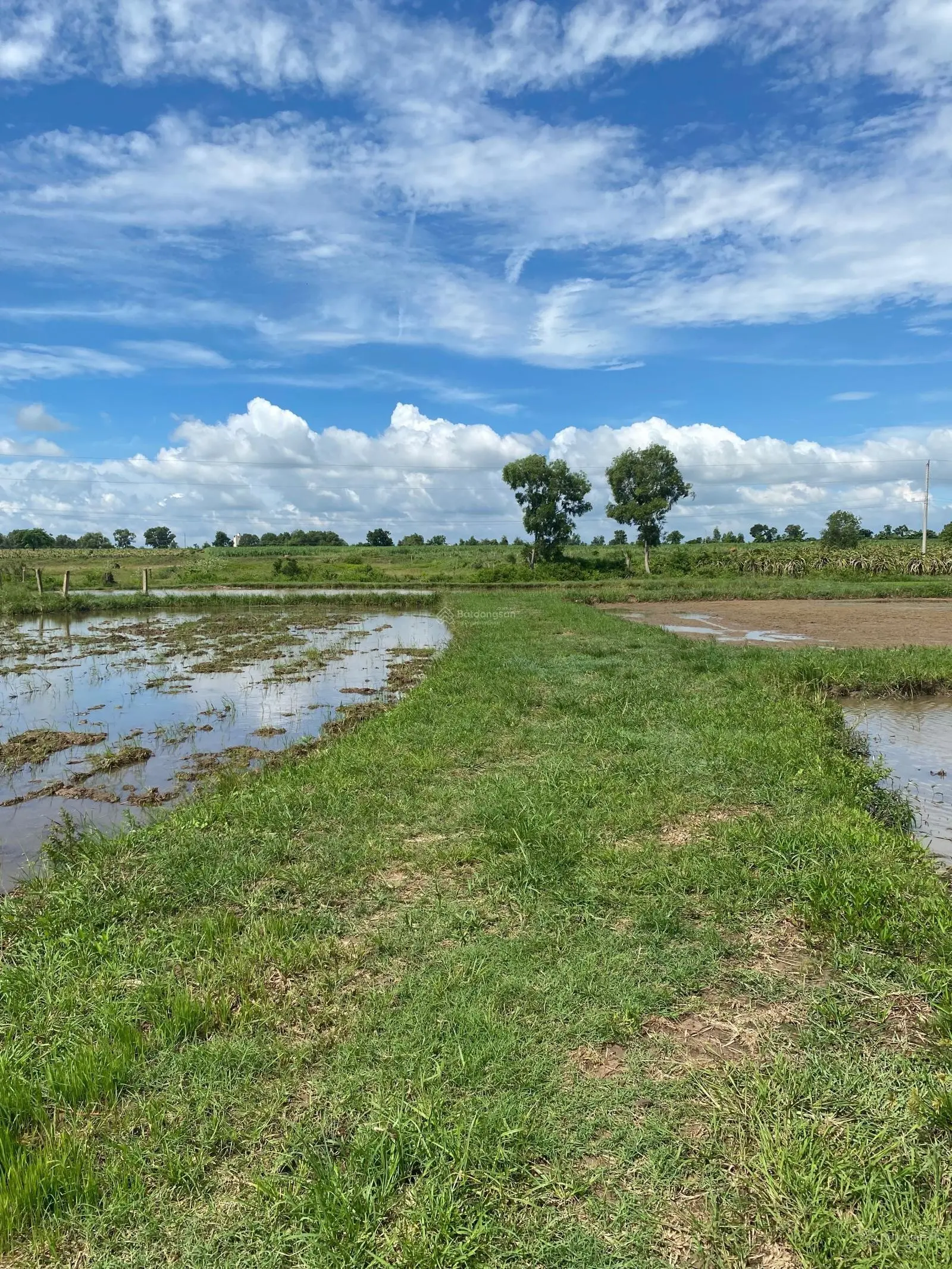 Cần bán nhanh 217m2 trồng cây sổ riêng đường ô tô 4m cách nhựa Hàm Chính 70m về Phan Thiết 10km