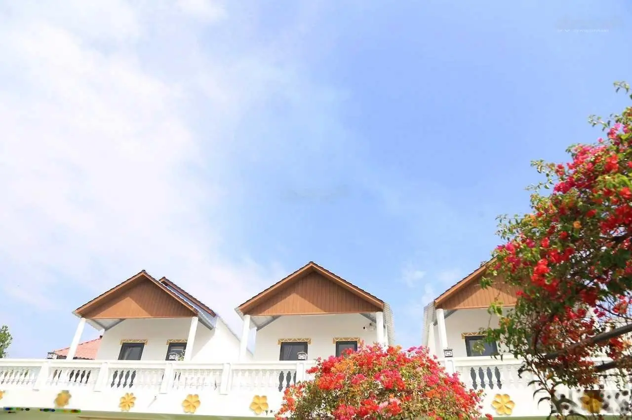 Ngộp cần bán gấp homestay nghỉ dưỡng ven biển hạ giá mạnh bán nhanh chỉ còn 12 tỷ thương lượng nhẹ