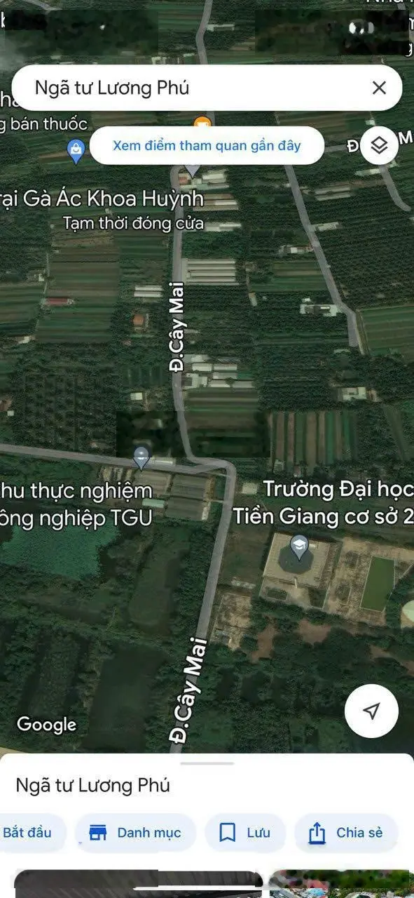 Bán 200m, đất thổ cư, đường ôtô, gần trường Đại Học Tiền Giang. Giá 1.6 tỉ