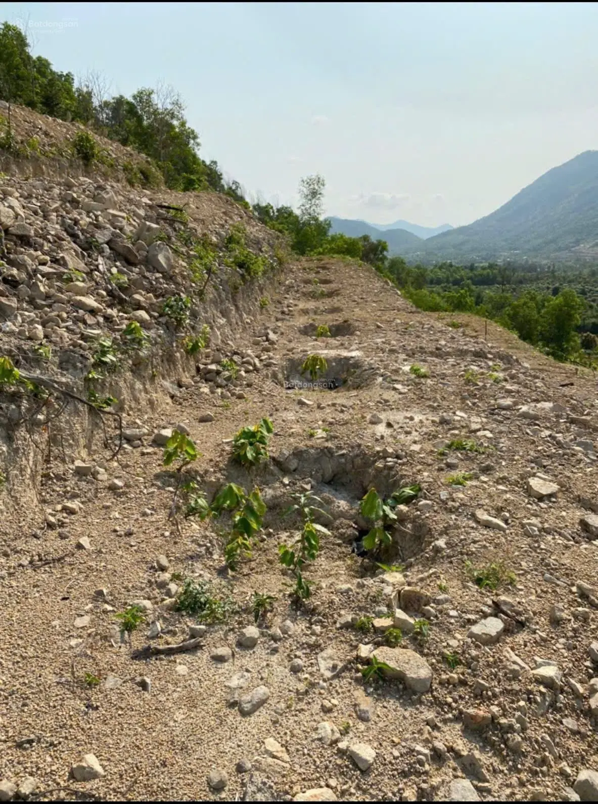 Bán đất Suối Cát, Cam Lâm. Sau lưng trường lái Hồng Bàng. Cách tỉnh lộ 3 chỉ 400m. Dt 2,9ha. 3,5 tỷ