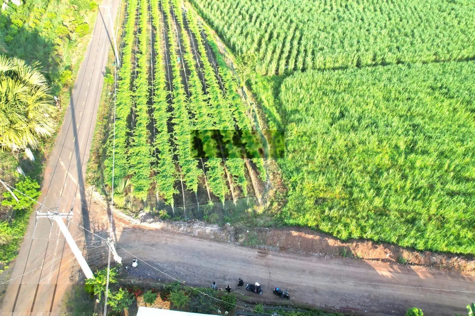 Chủ gửi bán 2 lô Láng Dài. Giá đất mỗi ngày mỗi tăng Vị trí: Xã Láng Dài, H. Đất Đỏ, tỉnh Bà Rịa VT