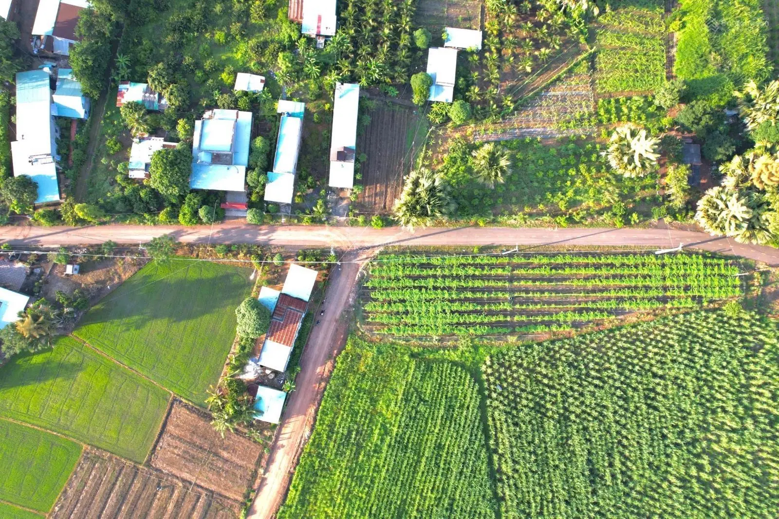 Chủ gửi bán 2 lô Láng Dài. Giá đất mỗi ngày mỗi tăng Vị trí: Xã Láng Dài, H. Đất Đỏ, tỉnh Bà Rịa VT