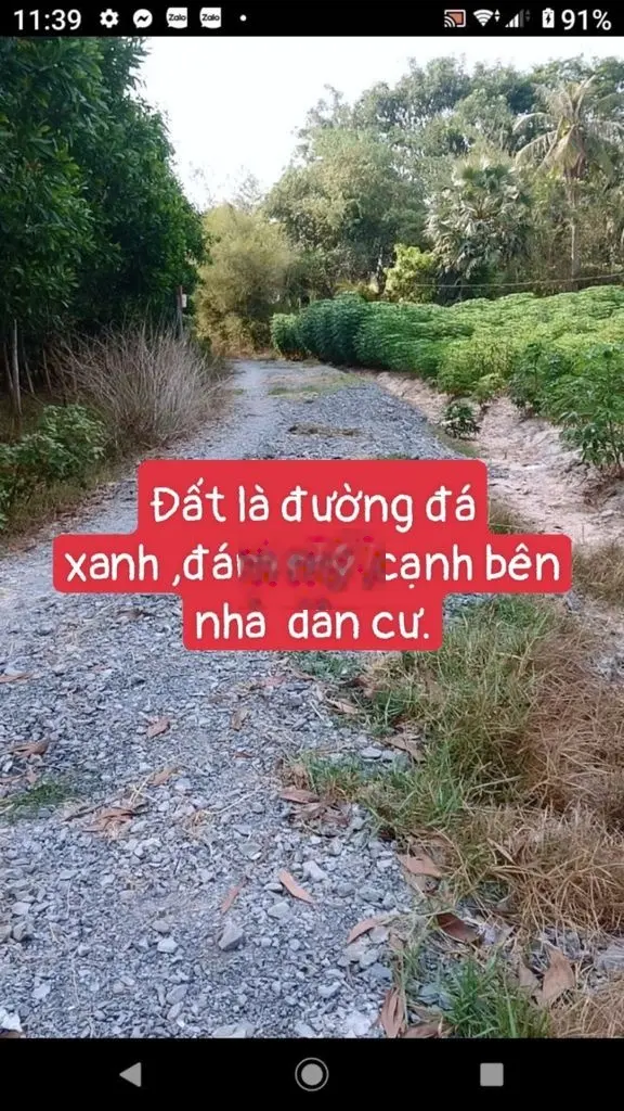 đất chợ,gay khu dân cư đông đúc hiện hữu., .