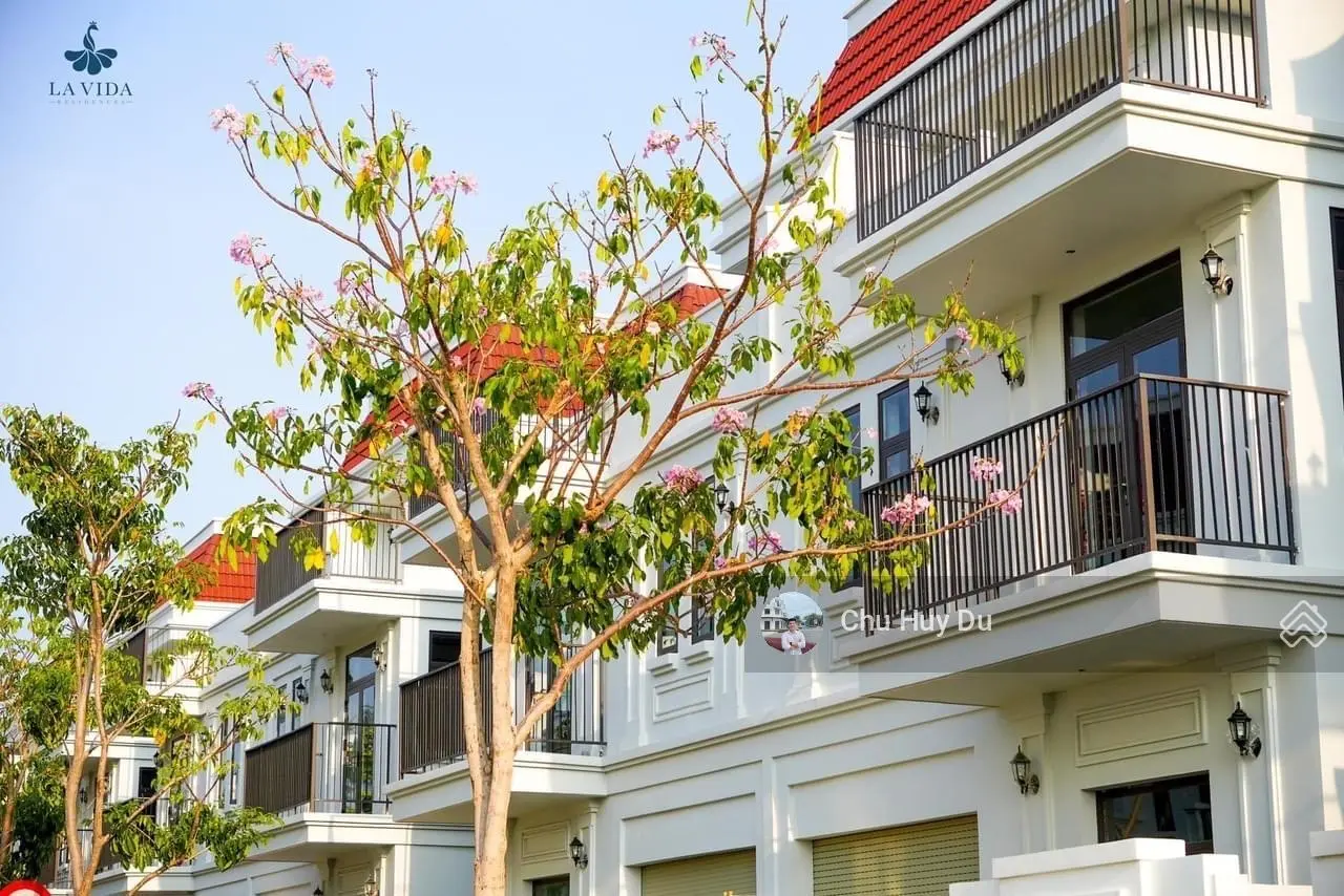 Cập nhật giỏ hàng chuyển nhượng La Vida Residences Vũng Tàu. Sổ hồng đợt đầu đang được bàn giao