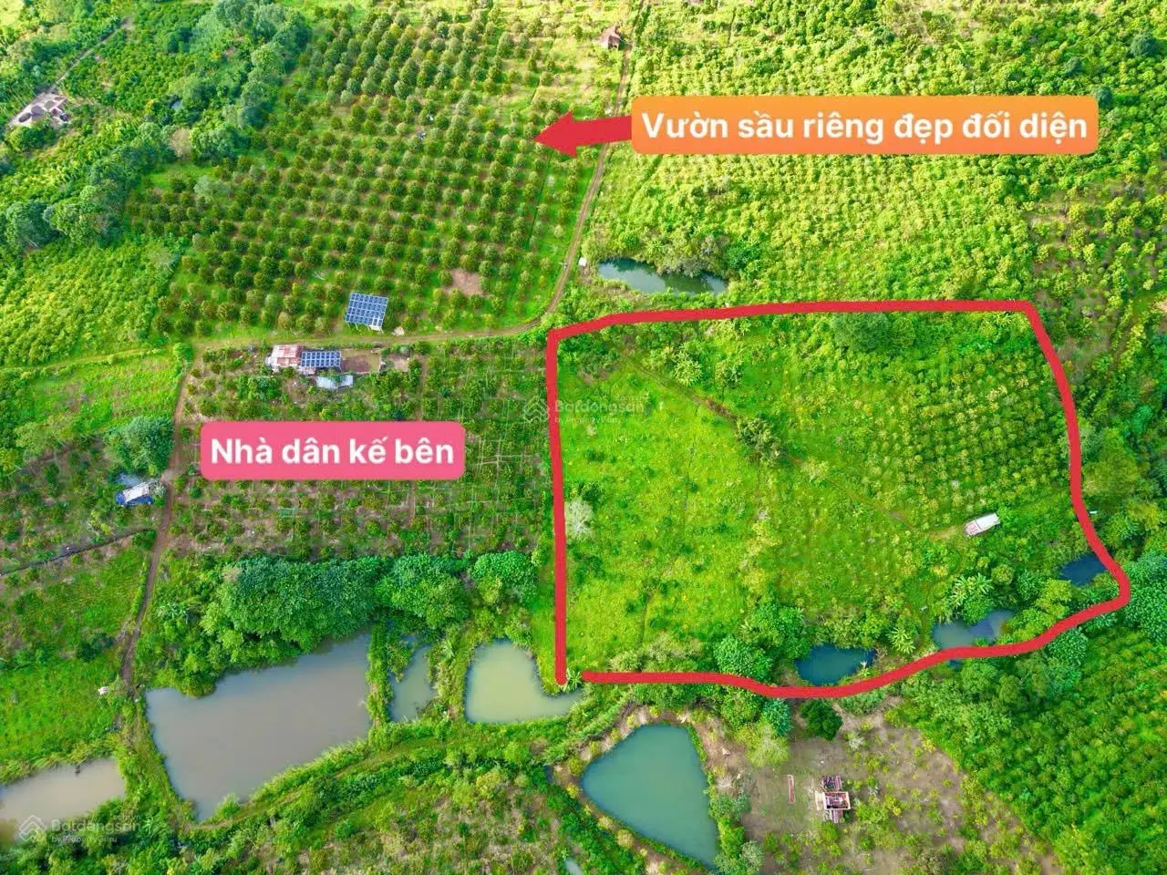 Hot hơn 1ha1 (11.500 m2) chỉ 389tr tại Tam Giang, Krong Năng, Daklak