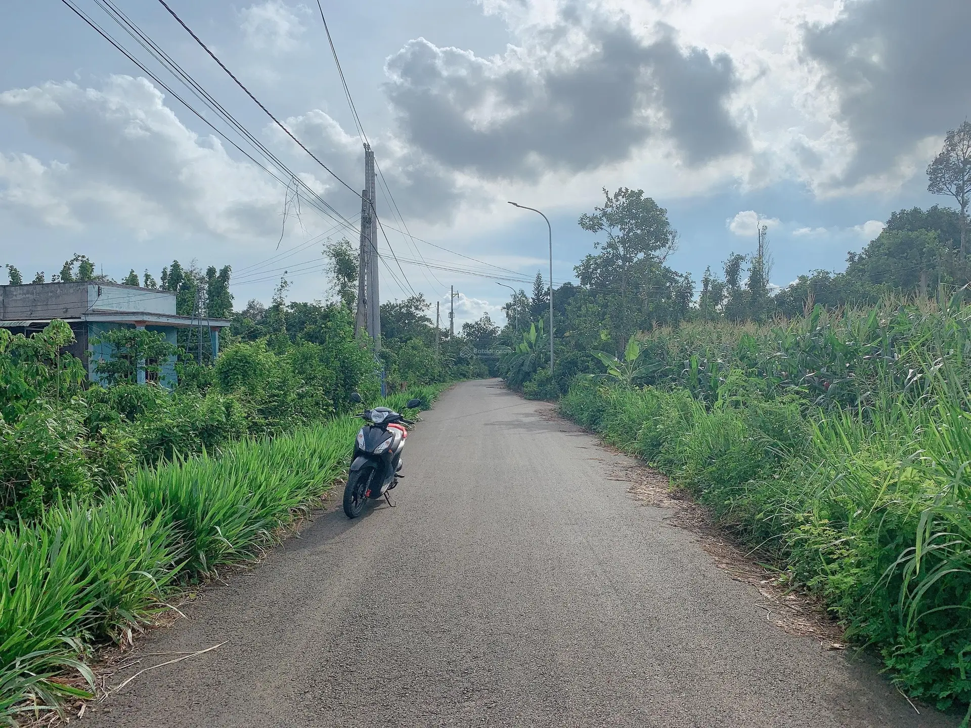 Bán Khoảng gần 1 sào (991m2) đất Bàu Chinh, huyện Châu Đức, BRVT. Giá 2,3 tỷ.