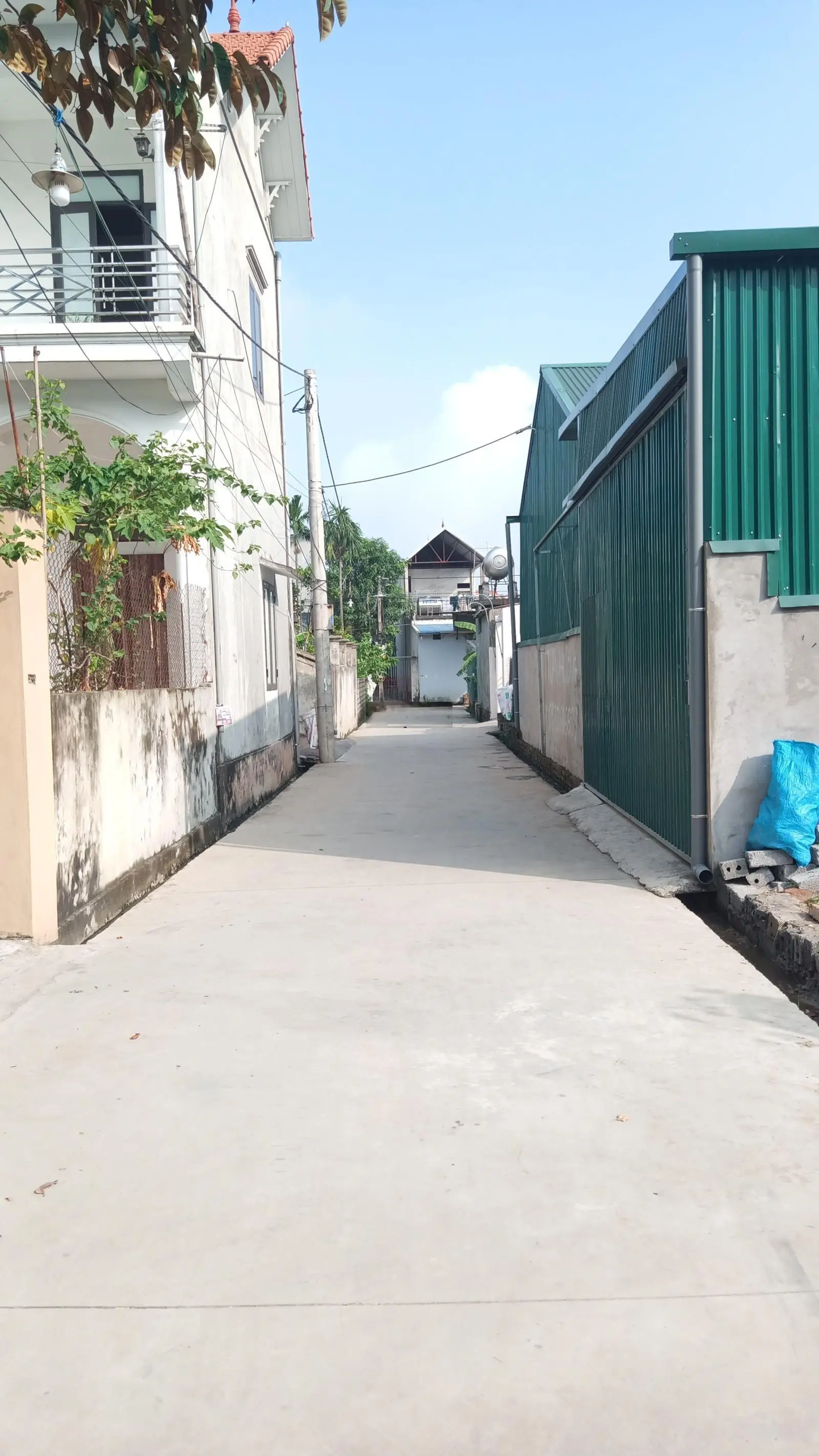 Hoa Hậu Phú Nghĩa Chương Mỹ 50 M2