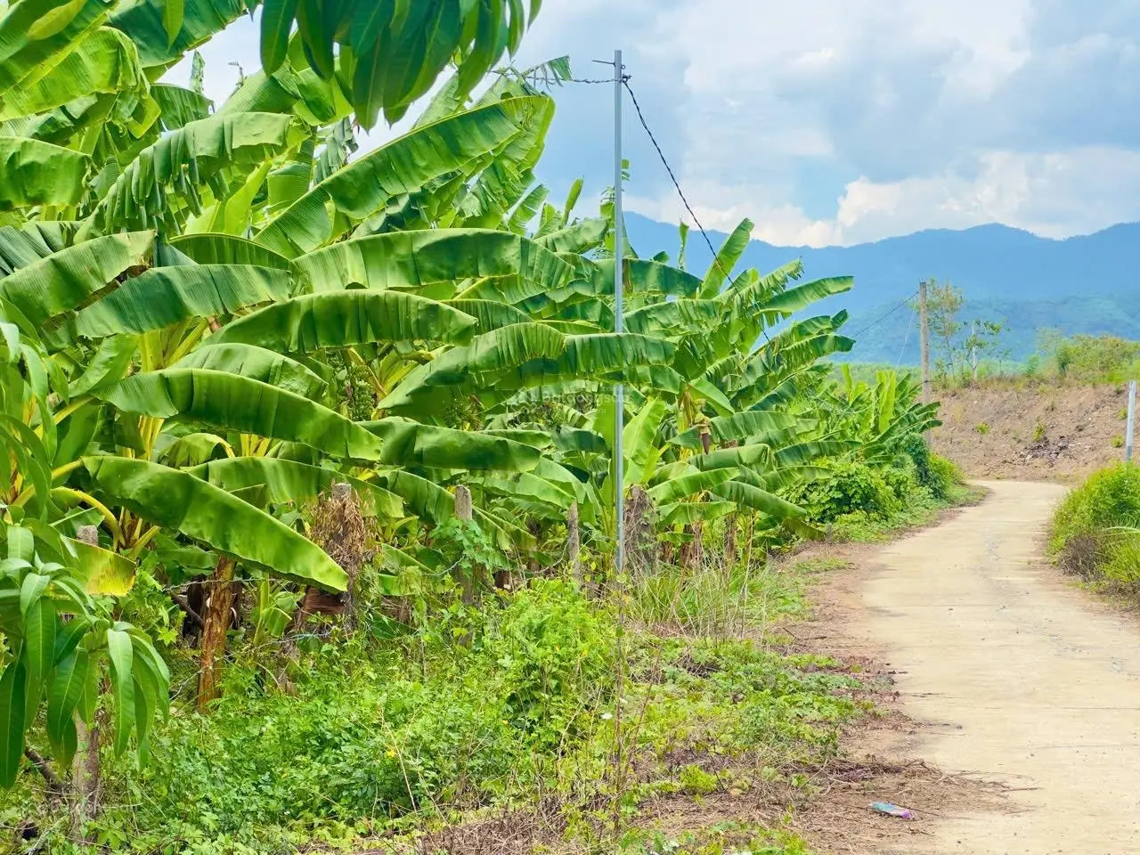 5 sổ Sông Cầu thích hợp làm farm nghỉ dưỡng Thuộc qh đất ở Đường bê tông ô tô tới nơi Trên đất có s