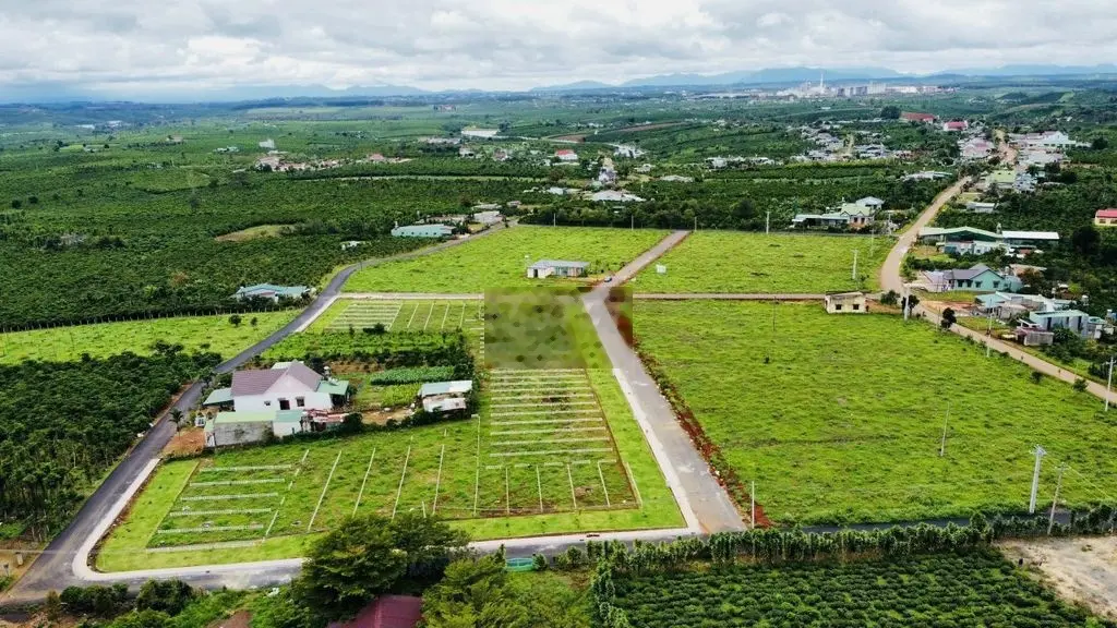 Đất Di Linh Giá Rẻ